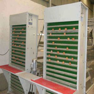 automatic egg collection machine