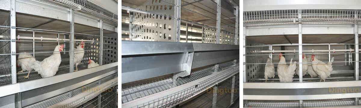 h frame automatic breeding chicken cage 1