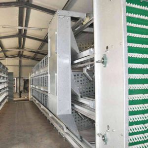 h frame automatic breeding chicken cage